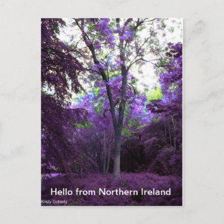 なんと世界か ポストカード