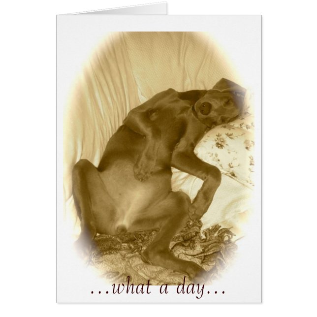 …なんと日… (正面)