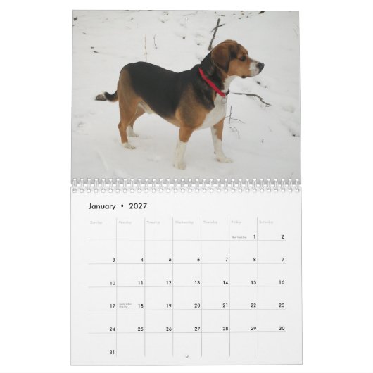 なんと犬か12か月のビーグル犬のカレンダーか-! カレンダー (1月 2027)