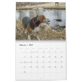 なんと犬か12か月のビーグル犬のカレンダーか-! カレンダー (2月 2027)