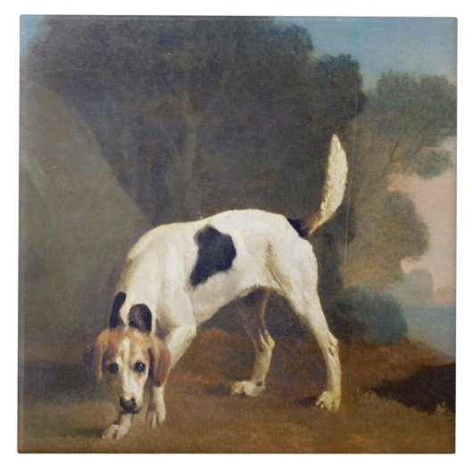 においのジョージStubbs |のFoxhound、c.1760 (油 タイル (正面)