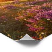 ~におけるルピネとオリンピックの山々の分野 ポスター (角)