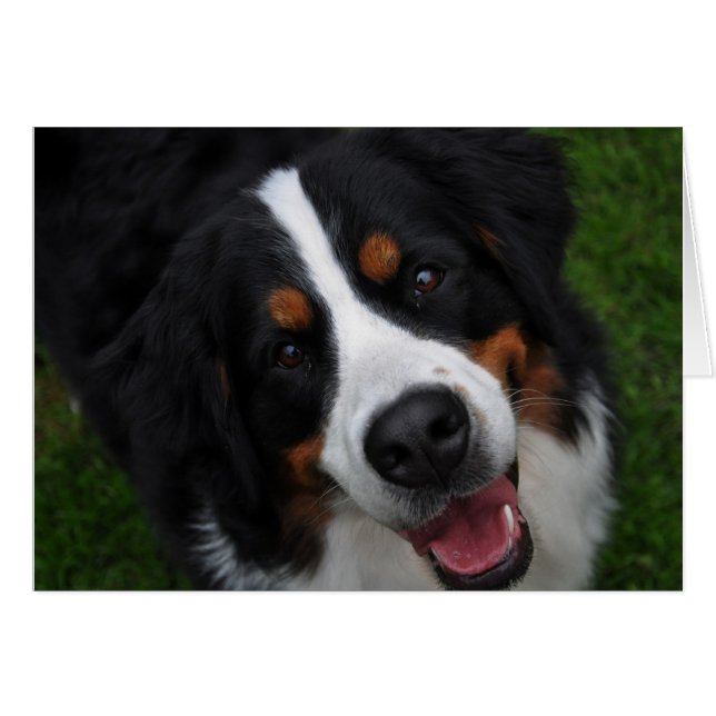 にこやかな顔 (正面横)