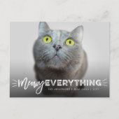 にゃんこなものすべて ウィスカーズ 猫好き かわいい ペット フォト シーズンポストカード (正面)