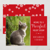 にゃんにゃん猫テーマのホリデー写真カード シーズンカード (正面/裏面)