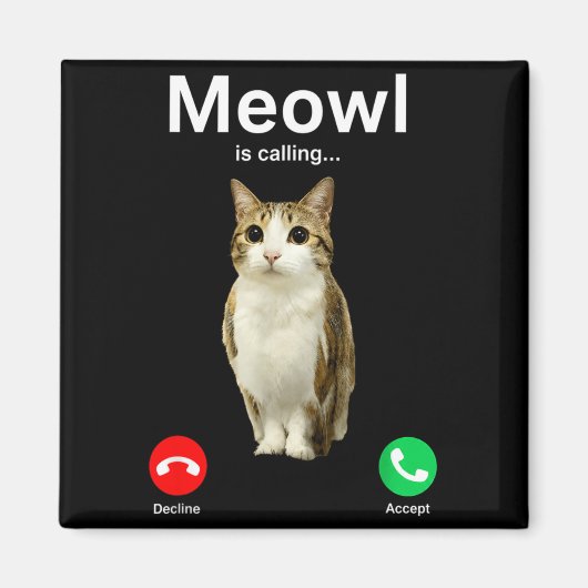 にゃ~んと鳴く猫フクロウ不吉なインターネット面白グッズ マグネット (正面)