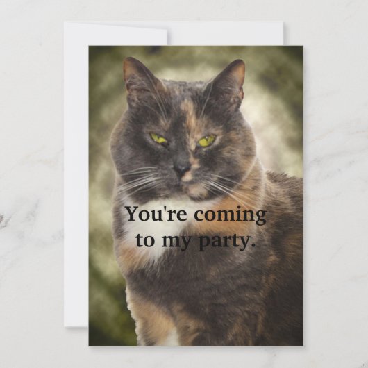 にやにやキティ - 好きにしろって？ 招待状 (正面)