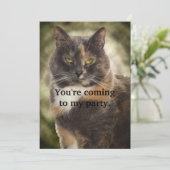 にやにやキティ - 好きにしろって？ 招待状 (スタンド正面)