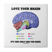 によってあなたが持っている唯一の1時であるあなたの頭脳を愛して下さい(頭脳) タイル (正面)