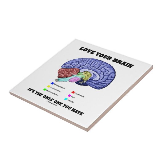 によってあなたが持っている唯一の1時であるあなたの頭脳を愛して下さい(頭脳) タイル (側面)