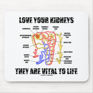 によって生命(Nephron)に重大であるあなたの腎臓を愛して下さい マウスパッド