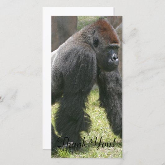 にんじんは柔らかい腕を搭載するゴリラを越えました サンキューカード (正面/裏面)