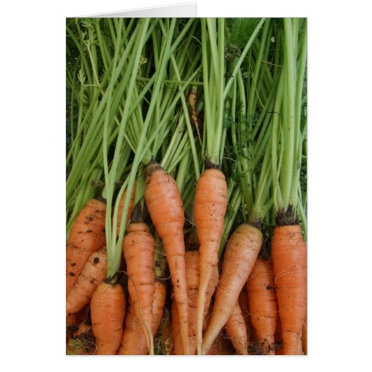 にんじんカード (正面)