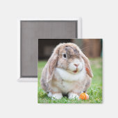にんじん草の中の可愛いロップ耳のウサギ マグネット (正面/裏面)