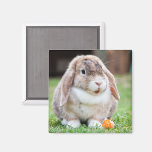 にんじん草の中の可愛いロップ耳のウサギ マグネット