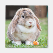 にんじん草の中の可愛いロップ耳のウサギ マグネット (正面)
