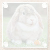 にんじん草の中の可愛い耳の垂れたウサギ ガラスコースター (裏面)