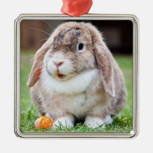 にんじん草の中の可愛い耳の垂れたウサギ メタルオーナメント (正面)