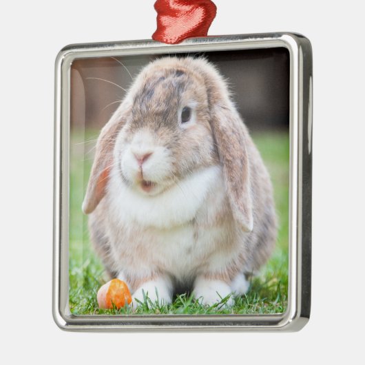 にんじん草の中の可愛い耳の垂れたウサギ メタルオーナメント (左)