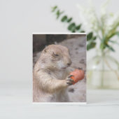 にんじん ポストカード (スタンド正面)