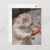 にんじん ポストカード (正面/裏面)