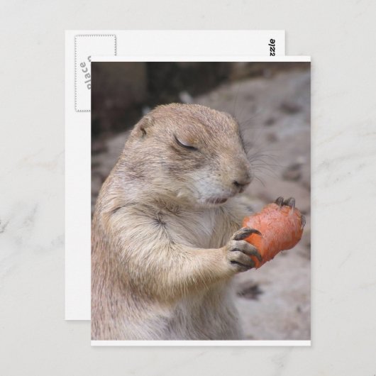 にんじん ポストカード (正面/裏面)