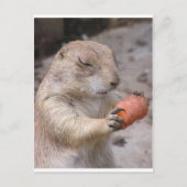 にんじん ポストカード (正面)