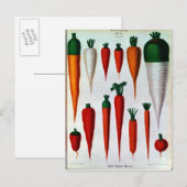 にんじん ポストカード (正面/裏面)