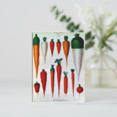 にんじん ポストカード (スタンド正面)