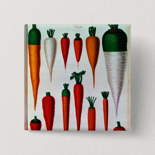 にんじん 缶バッジ (正面)