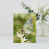 にんにく偽のアパレルとギフトの上のグリーンモス ポストカード (スタンド正面)