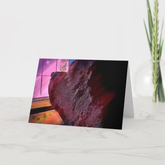 ～にペットの損失をカードに入れる カード (正面)