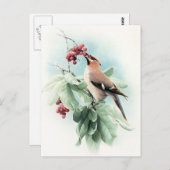 ～に実食べが付く ポストカード (正面/裏面)