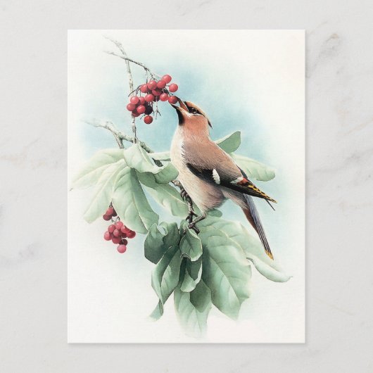 ～に実食べが付く ポストカード (正面)