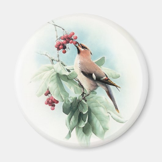 ～に実食べが付く マグネット (正面)