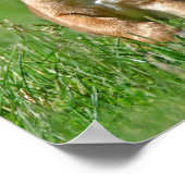 ～に寄り添走う ポスター (角)