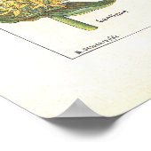 ~に爽やかなプリントを持つ薬草フランスの ポスター (角)