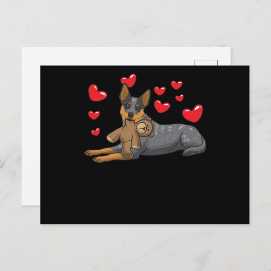 ぬいぐるみの付いたオーストラリアの家畜犬 ポストカード (正面/裏面)