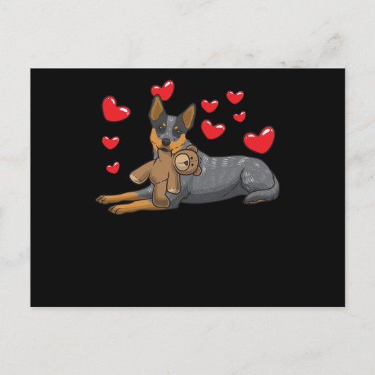 ぬいぐるみの付いたオーストラリアの家畜犬 ポストカード (正面)