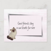 ぬいぐるみ猫ペットお悔やみ ポストカード (正面)