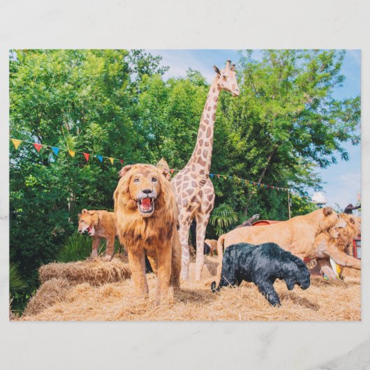 ぬいぐるみ チラシ (正面)