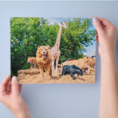 ぬいぐるみ チラシ (手)