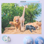 ぬいぐるみ チラシ (シングル)