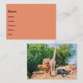 ぬいぐるみ 名刺 (正面/裏面)