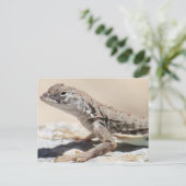 ぬかるみリザードポストカード ポストカード (スタンド正面)