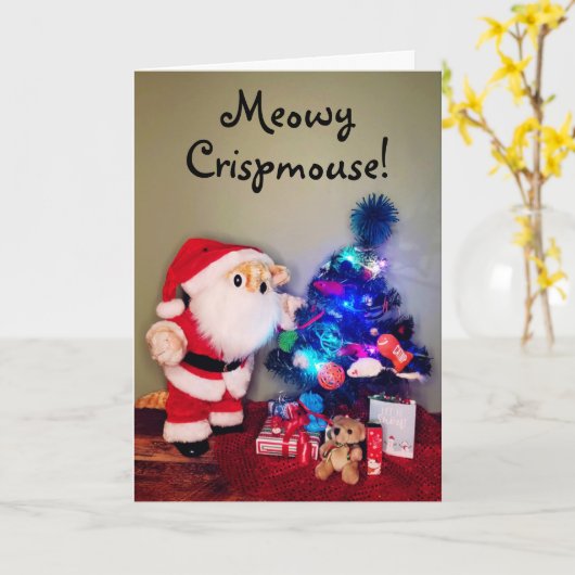 ぬかるんだ猫のクリスマス カード (黄色い花)