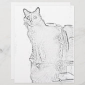 ぬりえページ – 糸のスプール入り猫 (正面/裏面)