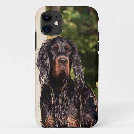 ぬれたゴードンセッターのiPhone 5の場合 Case-Mate iPhoneケース (裏面)