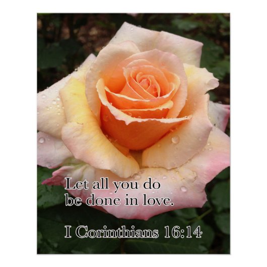 ぬれたバラ ポスター (正面)