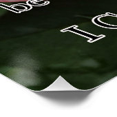 ぬれたバラ ポスター (コーナー)